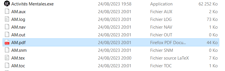Interface du programme