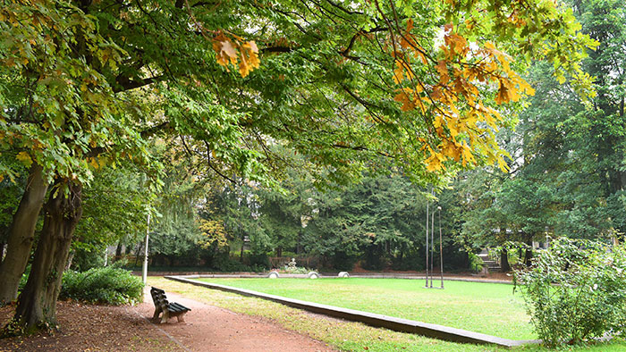 je n'ai pas trouvé l'image!