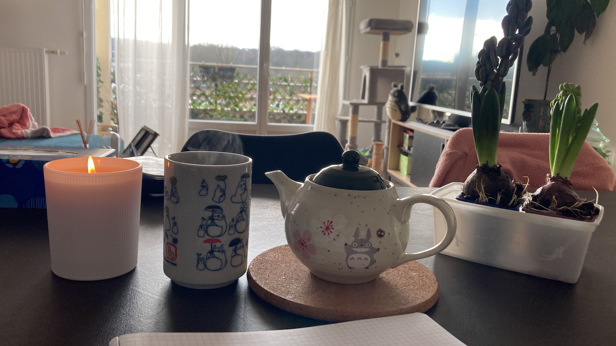 Photo de théière Totoro, tasse totoro et peluche Totoro
